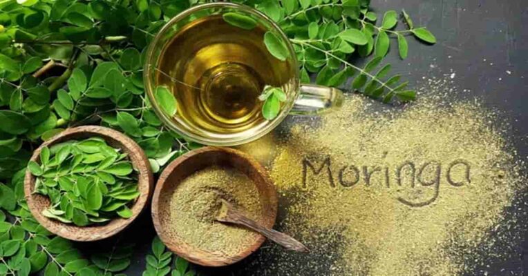 moringa-benefits-মরিঙ্গা-সজনে-পাতার-ব্যবহার-উপকারিতা