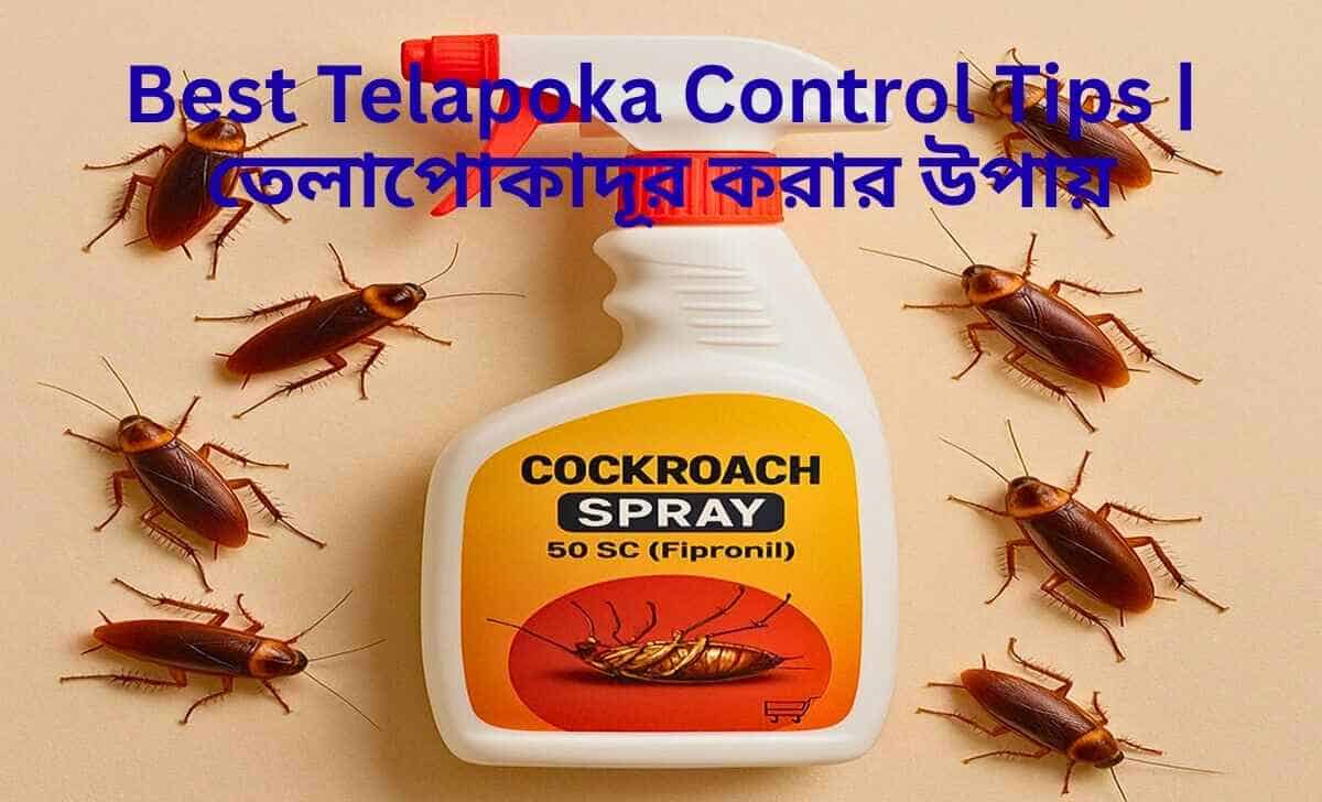best-telapoka-control-tips-তেলাপোকা-দূর-করার-উপায়